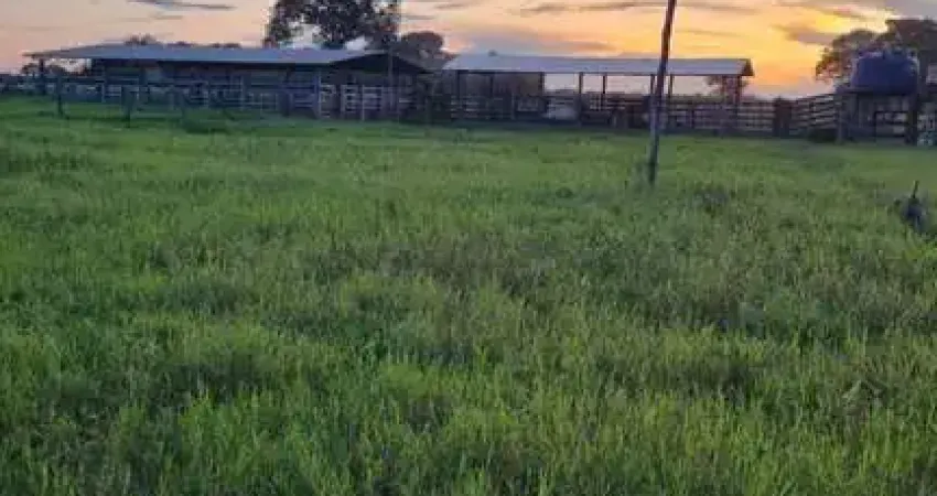 Fazenda à venda em cocalinho-mt, zona rural: 3 quartos, 2 salas, 2 banheiros, 3 vagas de garagem e 3.533.200,00 m² de área.