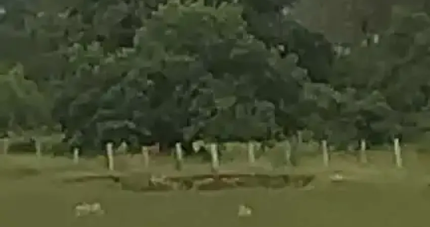 Oportunidade única! Sítio à venda em Cesário Lange-SP: 24.200m² de área. Venha conferir!