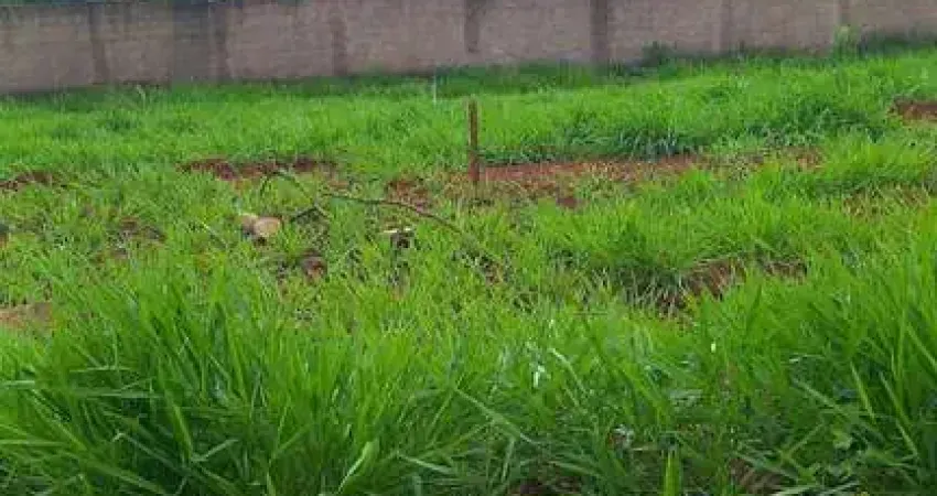 Terreno em Condomínio em Alto dos Caiçaras, Patos de Minas/MG