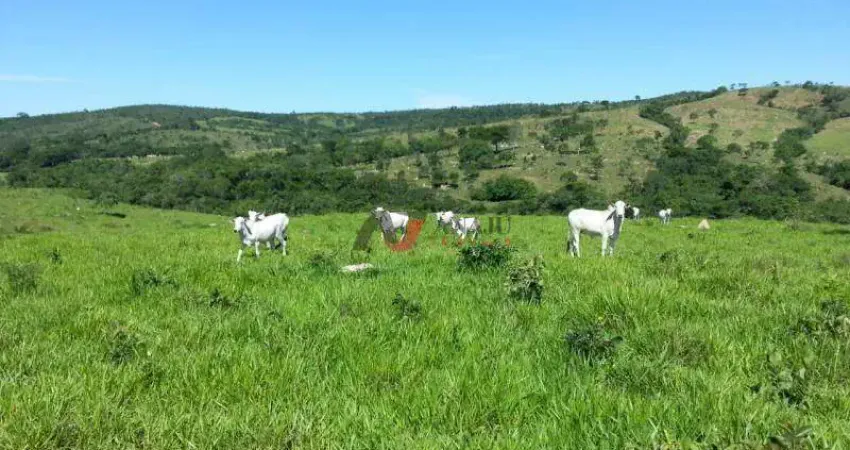 Fazenda à venda na Zona Rural, Nova Aurora 