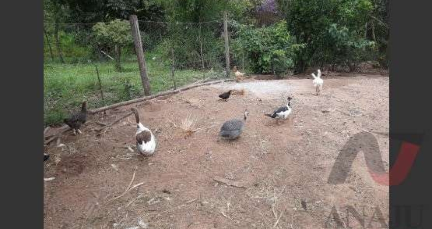Fazenda à venda no Centro, Tambaú 