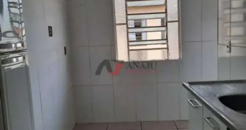 Apartamento Padrão Jardim João Rossi, Ribeirão Preto - SP