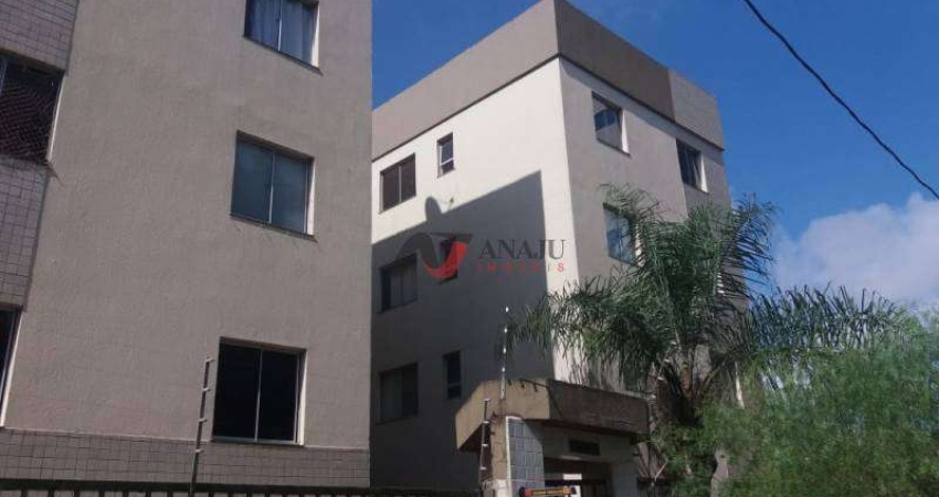Apartamento Padrão Jardim Palma Travassos, Ribeirão Preto - SP