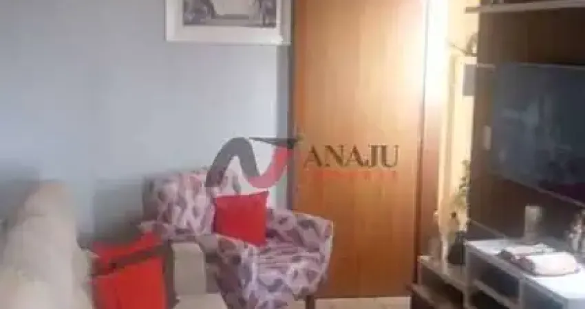 Apartamento Padrão Campos Elíseos, Ribeirão Preto - SP
