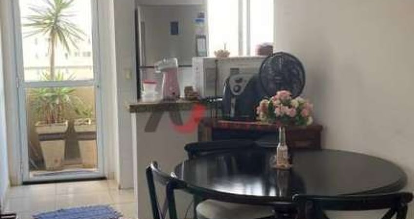 Apartamento Padrão Jardim Paulista, Ribeirão Preto - SP