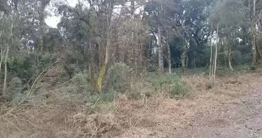 Terreno à venda na PEDRAS BRANCAS, Pedras Brancas, São Marcos