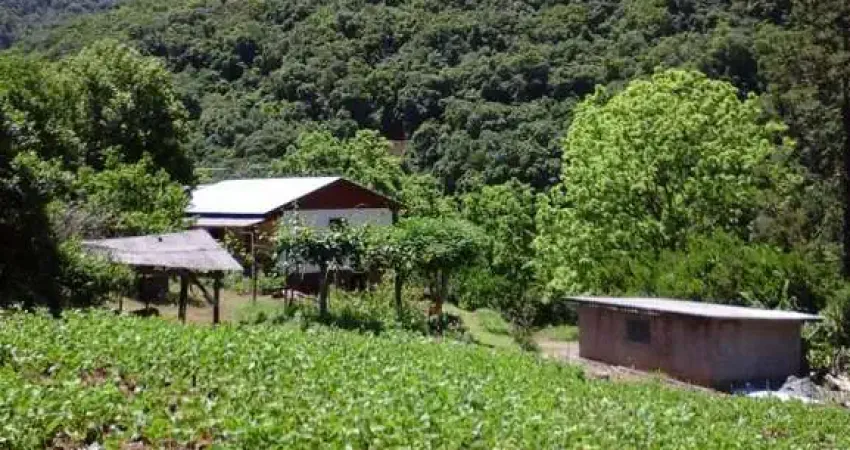 Chácara / sítio com 4 quartos à venda na São João da Quarta Légua, null, Galópolis, Caxias do Sul