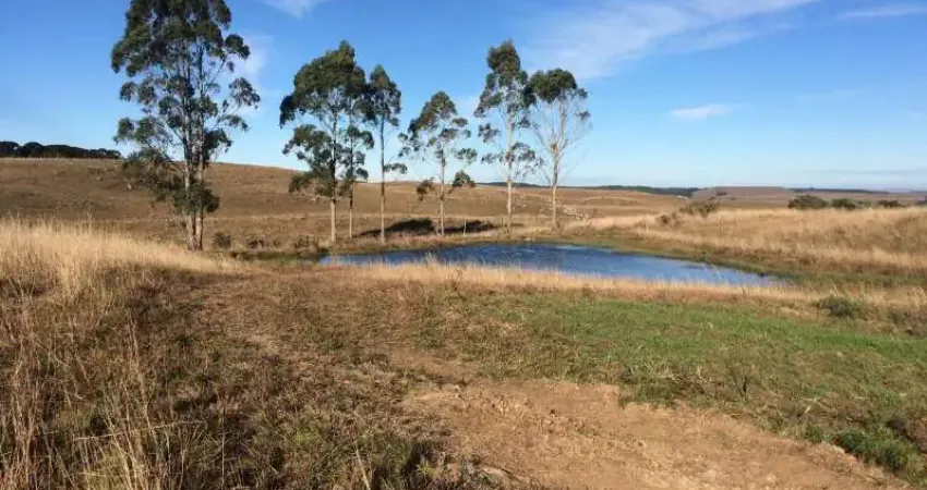 Chácara / sítio à venda na DISTRITO DE AZULEGA, Centro, Cambará do Sul
