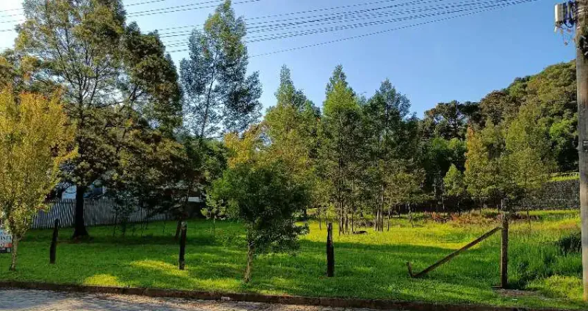 Terreno 13,50x30,00 - 405m² - a venda no loteamento residencial jardim vêneto - caxias do sul