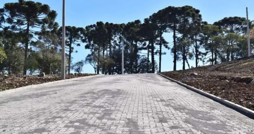 Terreno à venda na RUA GENERAL ALEXANDRE MOSS SIMÕES RÉIS, Mariland, Caxias do Sul