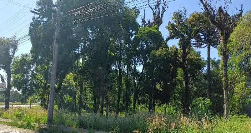 Terreno 360m² para venda no bairro planalto / vila verde, em caxias do sul
