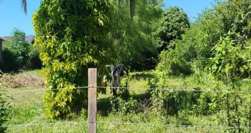Terreno à venda na Rua Padre Chagas, São Judas Tadeu, Gravataí