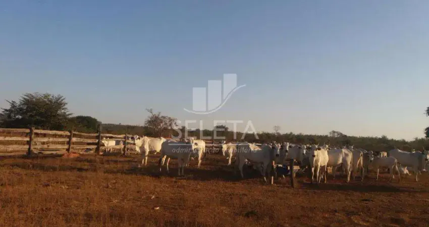 Fazenda à venda na Fazenda Paredão - Núcleo Fazenda, Zona Rural, General Carneiro