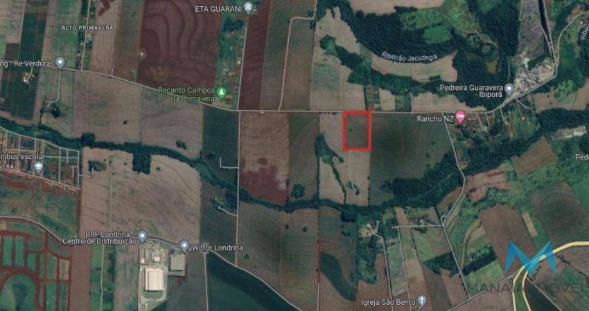 Terreno à venda, 48.400 m² - Rua Jordelino Silva - Jardim Primavera - Londrina/PR