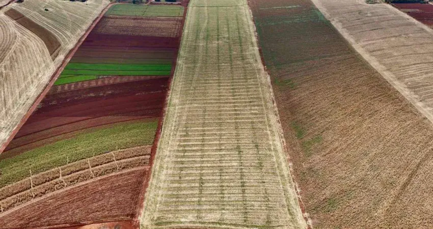 Terreno à venda na Zona Rural, Área Rural de Cambé, Cambé