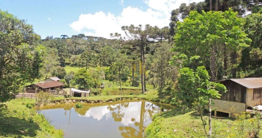 Fazenda à venda, 2651420 m² por R$ 26.600.000 - Taquari - Campina Grande do Sul/PR