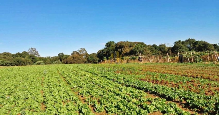 Área à venda, 124200 m² por R$ 8.200.000,00 - Itajacuru - Colombo/PR