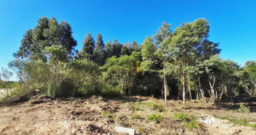 Terreno à venda, 3611 m² por R$ 500.000,00 - Parque do Embu - Colombo/PR