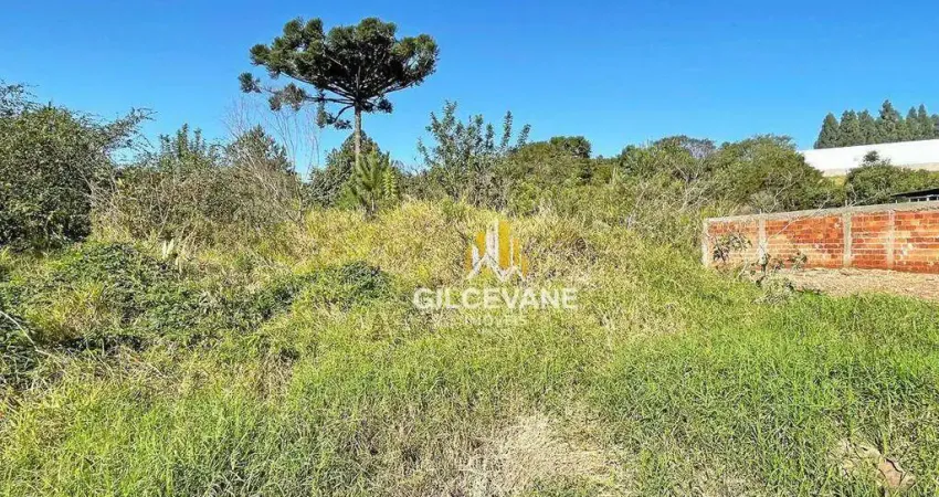 Terreno à venda, 649 m² por R$ 350.000,00 - Paloma - Colombo/PR