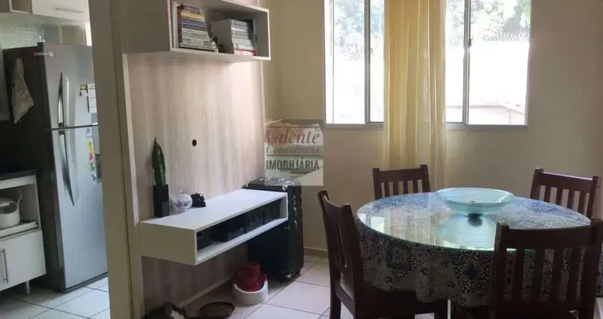 Apartamento á venda, 2 dormitórios, sendo uma suíte, jardim Nova Europa, Campinas-SP