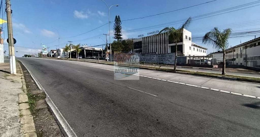 Barracão á venda na avenida das Amoreiras em Campinas-SP