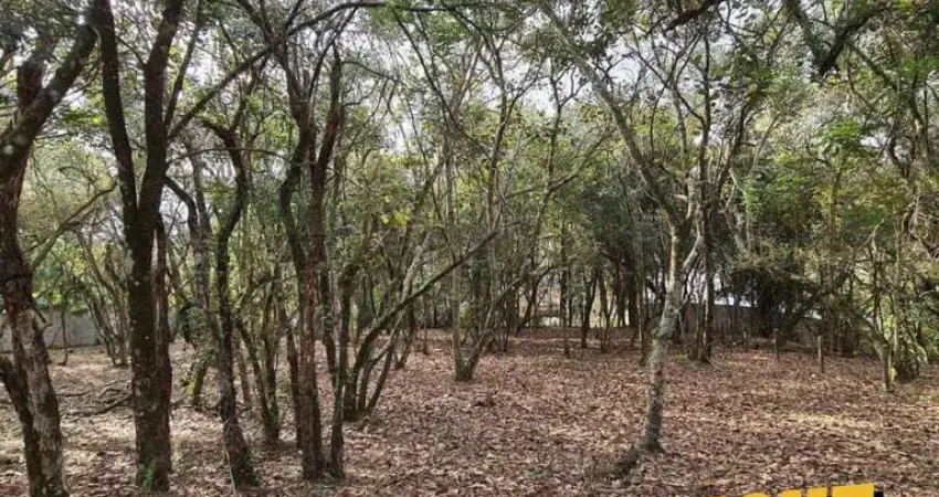 Terreno em condomínio fechado à venda na Rua Orange, Vila de São Fernando, Cotia