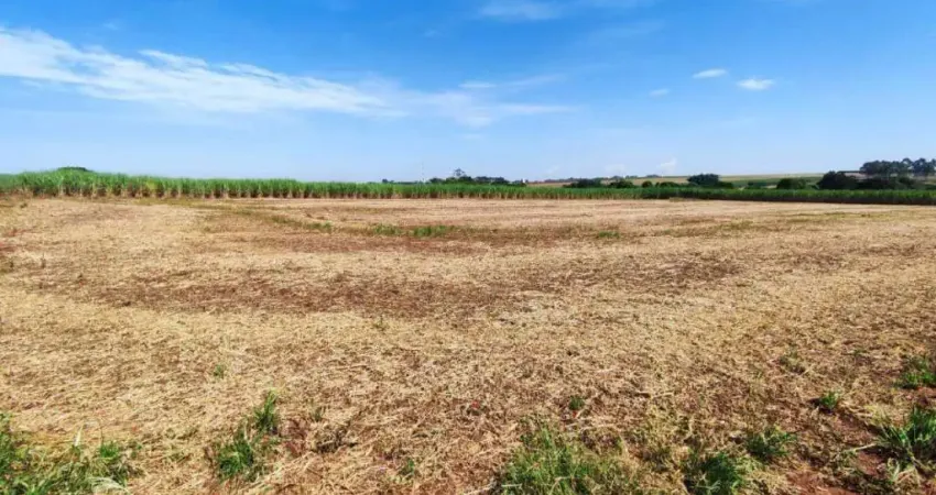 Área à venda, Área Rural de Rio das Pedras - Rio das Pedras/SP