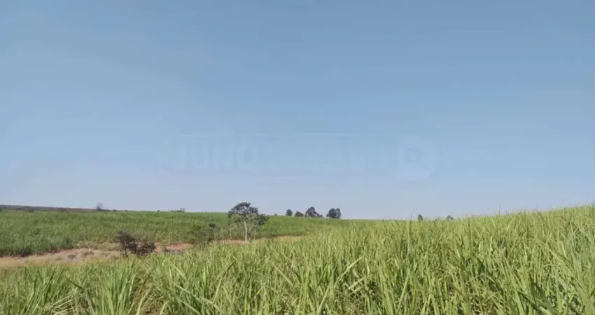Área à venda, Área Rural de Rio das Pedras - Rio das Pedras/SP