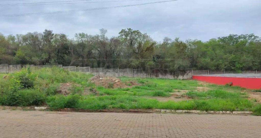 Terreno à venda, Loteamento Industrial Palmeiras - Rio das Pedras/SP