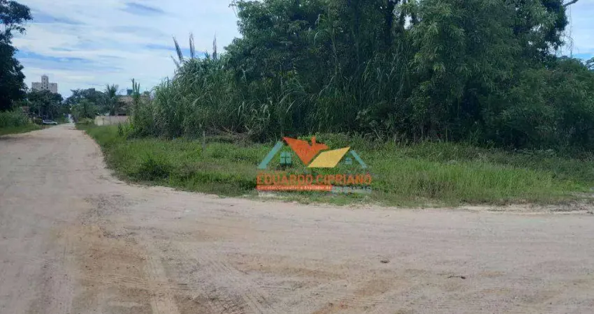 Terreno à venda, 360 m² por R$ 245.000,00 - Massaguaçu - Caraguatatuba/SP