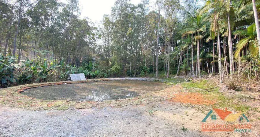 Terreno à venda, 5300 m² por R$ 260.000,00 - Espírito Santo - Paraibuna/SP