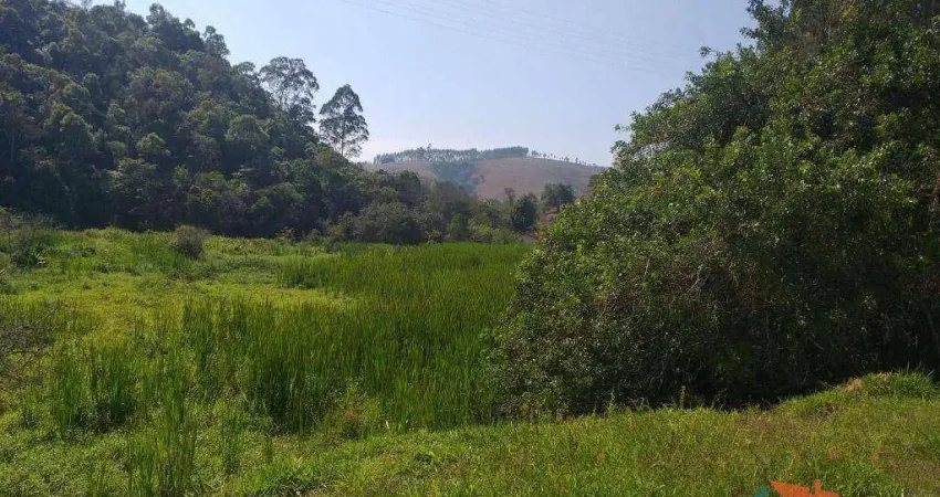 Terreno à venda, 780 m² por R$ 100.000,00 - Zona Rural - Paraibuna/SP