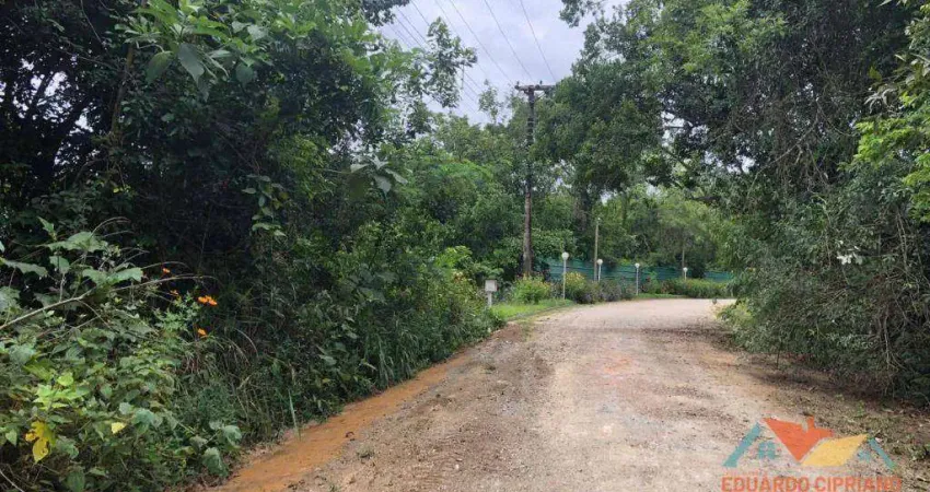 Terreno à venda, 270 m² por R$ 55.000,00 - Massaguaçu - Caraguatatuba/SP