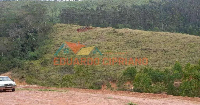 Terreno à venda, 51124 m² por r$ 245.000,00 - zona rural - paraibuna/sp