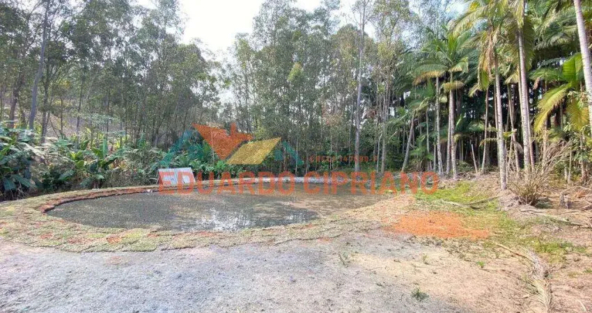 Terreno à venda, 5300 m² por r$ 260.000,00 - espírito santo - paraibuna/sp