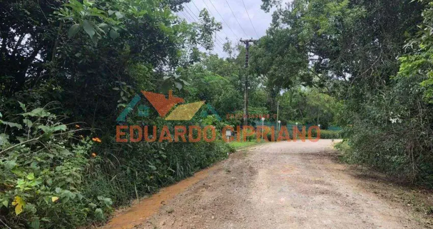 Terreno à venda, 270 m² por r$ 60.000,00 - massaguaçu - caraguatatuba/sp