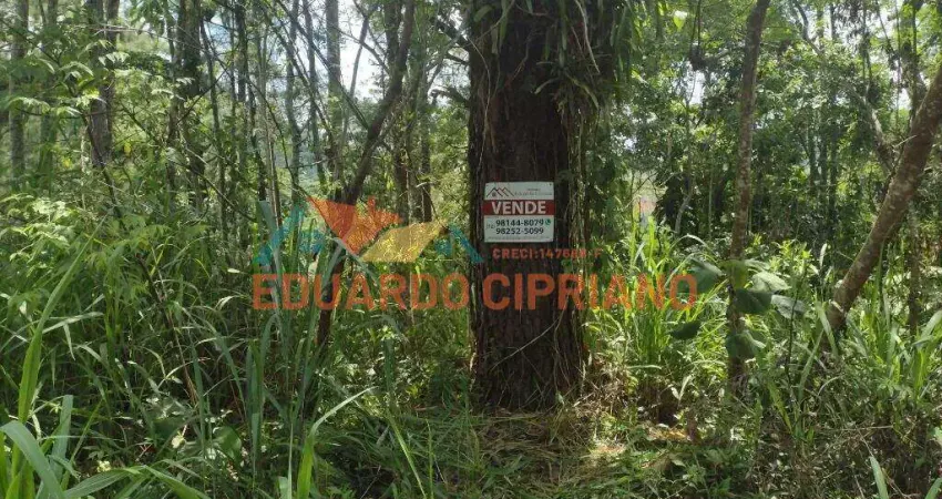 Terreno à venda, 480 m² por r$ 250.000,00 - jardim capricórnio - caraguatatuba/sp