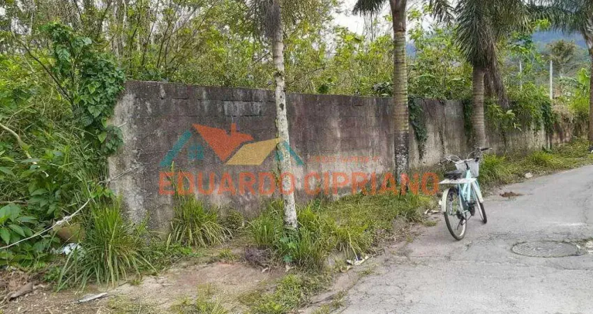 Terreno à venda, 1100 m² por r$ 700.000,00 - massaguaçu - caraguatatuba/sp