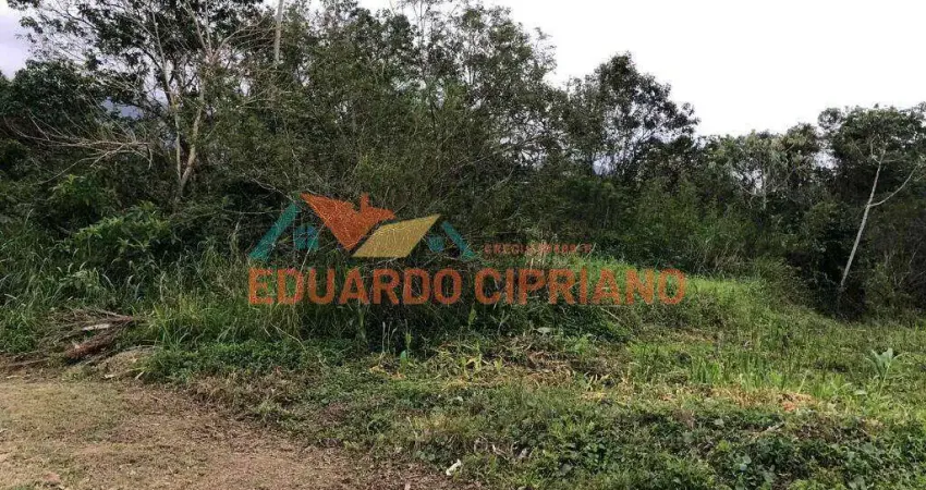 Terreno à venda, 372 m² por r$ 250.000,00 - massaguaçu - caraguatatuba/sp