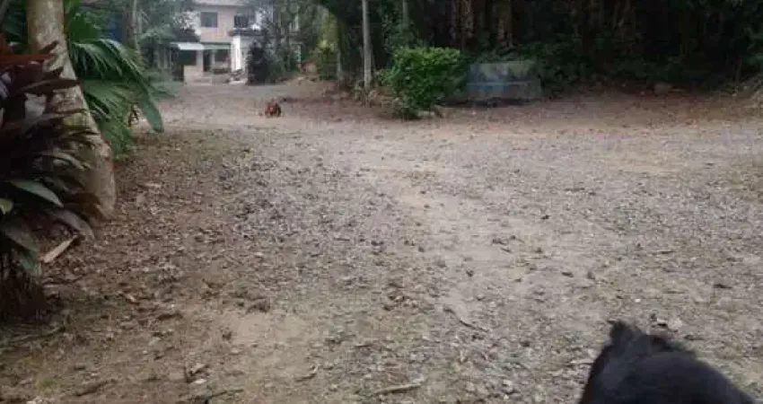 Terreno à venda no Morro Nova Cintra, Santos 