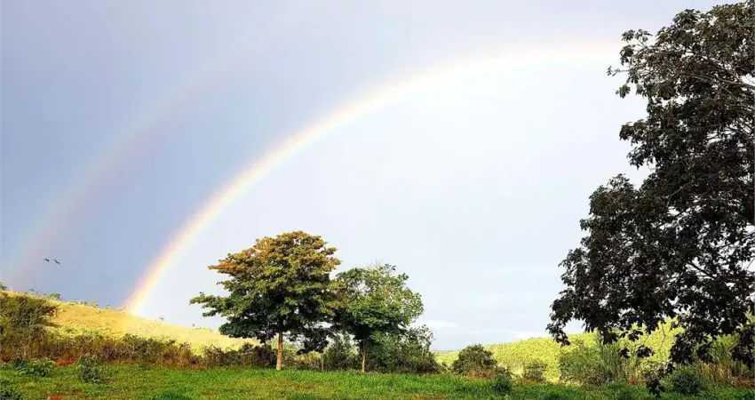Chácara / sítio com 7 quartos à venda no Centro, Piau 