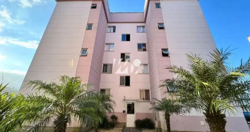 Apartamento com 3 quartos para alugar na Rua Pedro Theisen Júnior, 1, Aririu, Palhoça