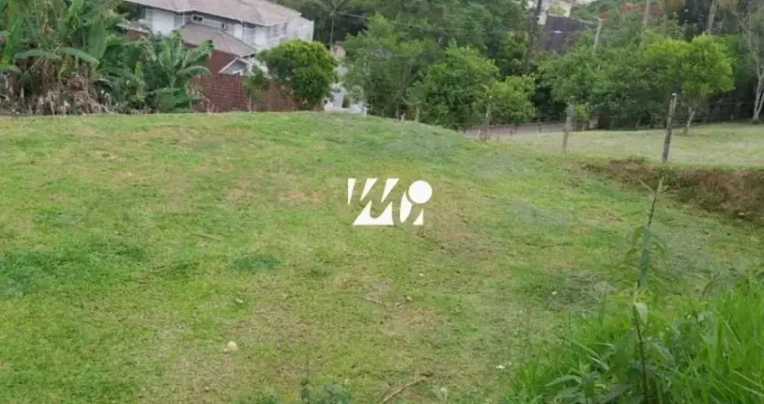 Terreno à venda na Servidão Imaculada Conceição, 10, Morro dos Ventura, Santo Amaro da Imperatriz