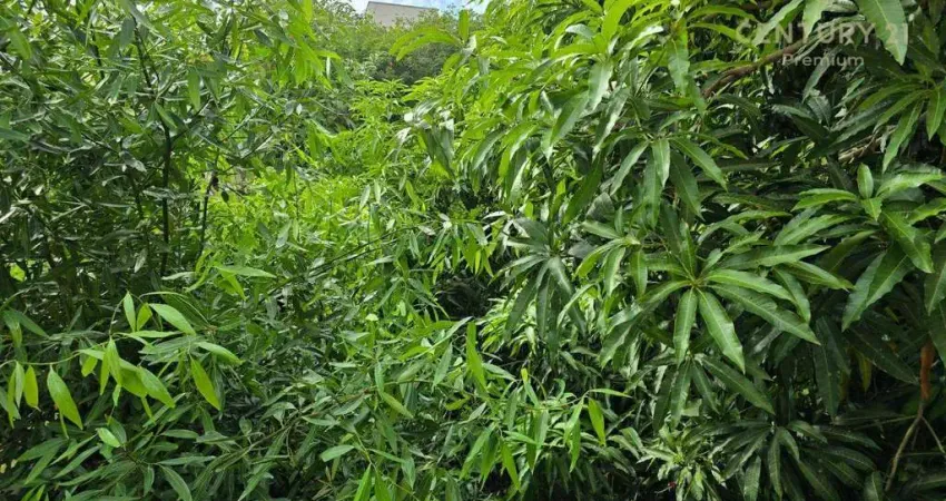 Barracão / Galpão / Depósito à venda na Avenida São João, 787, Alto, Piracicaba