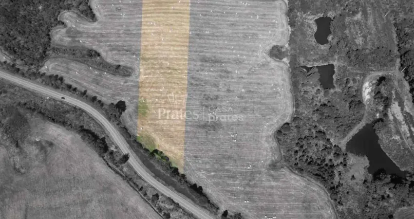 Terreno à venda na Presidente Ernesto Geisel, 3, Centro, Palmeira