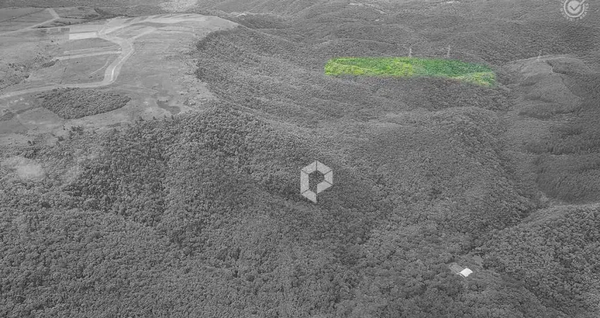 Terreno à venda na da Lage, 3690, São Luiz do Purunã, Balsa Nova