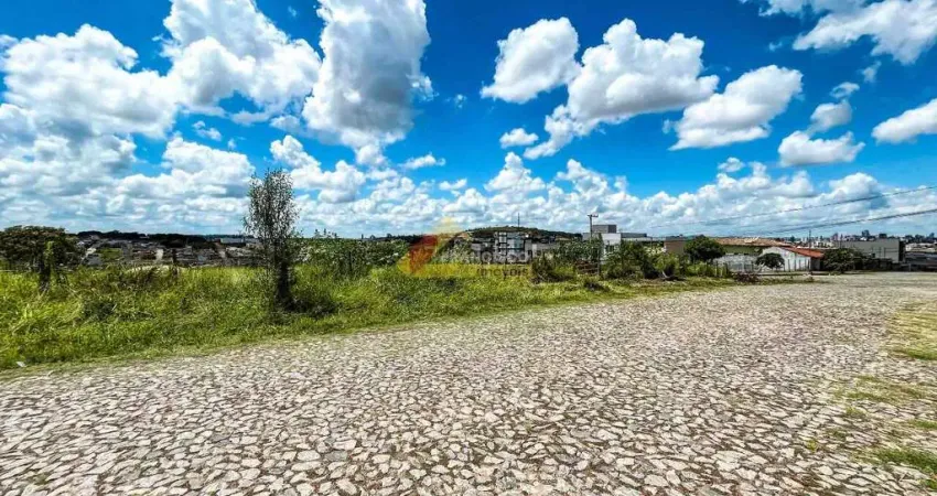 Terreno comercial para alugar no São Roque, Divinópolis 