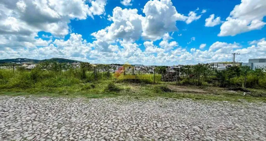 Terreno comercial para alugar no São Roque, Divinópolis 