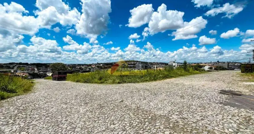 Terreno comercial para alugar no São Roque, Divinópolis 