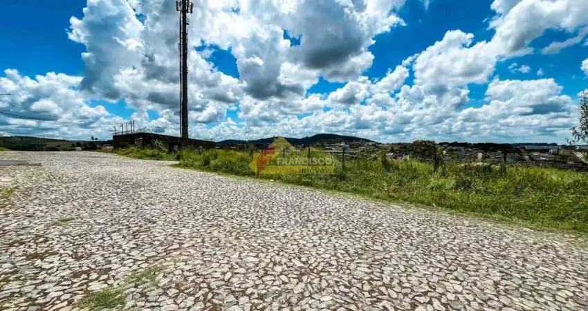 Terreno comercial para alugar no São Roque, Divinópolis 